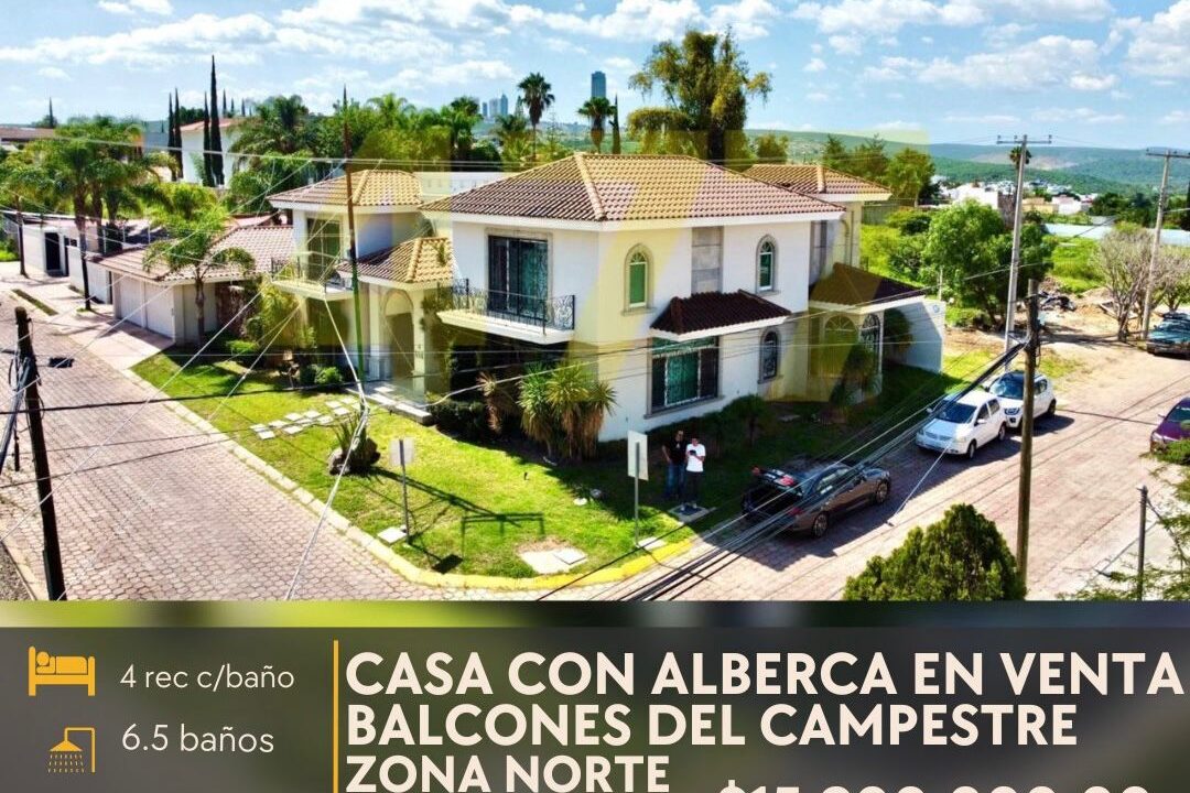 C686DD2C-0CE7-450B-8483-906A9E6C1B2F