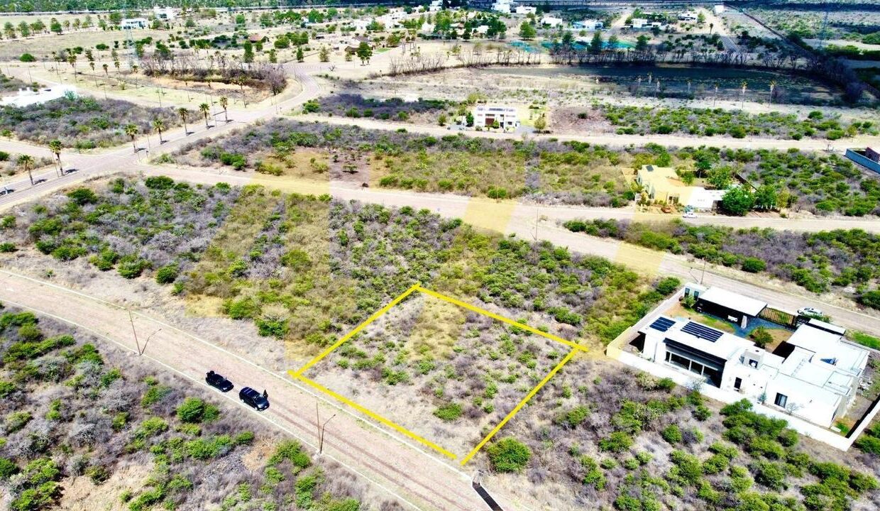 WhatsApp Image 2024-09-24 at 11.37.52 AM (1)