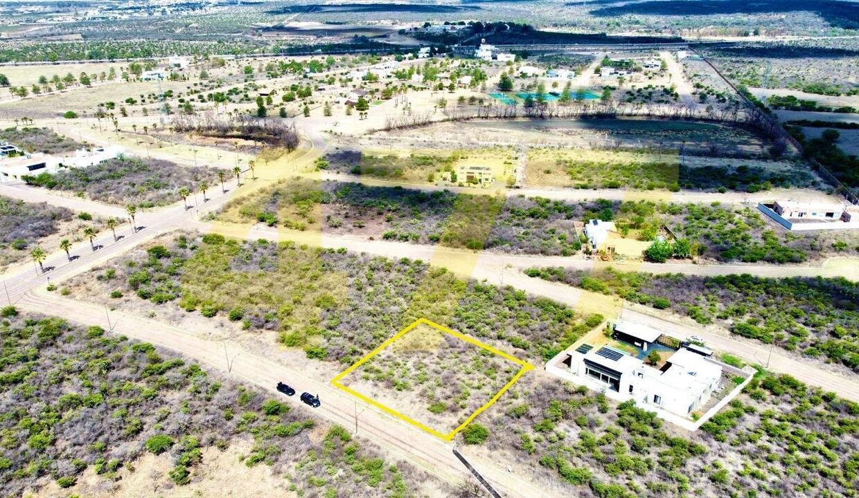 WhatsApp Image 2024-09-24 at 11.37.52 AM (2)