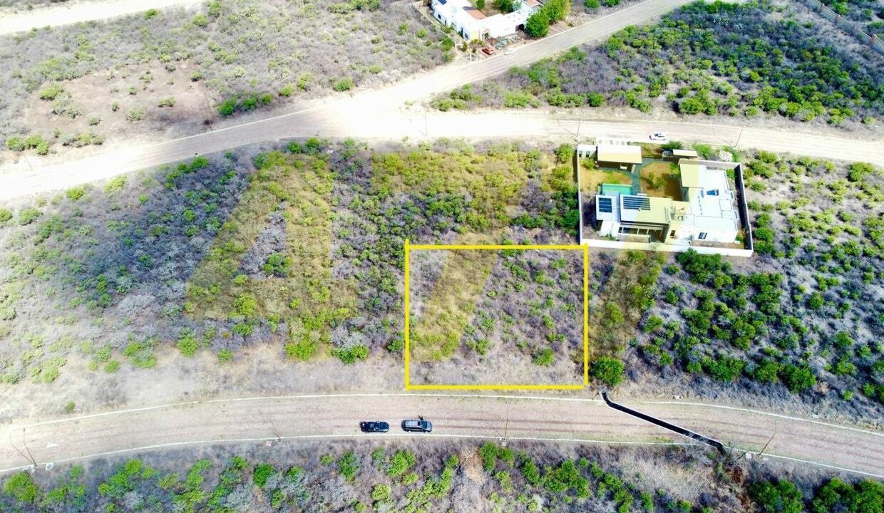 WhatsApp Image 2024-09-24 at 11.37.53 AM (1)