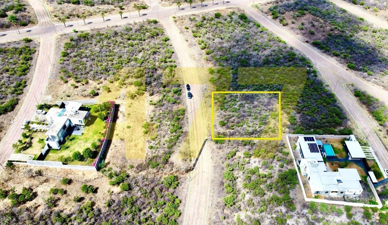 WhatsApp Image 2024-09-24 at 11.37.53 AM