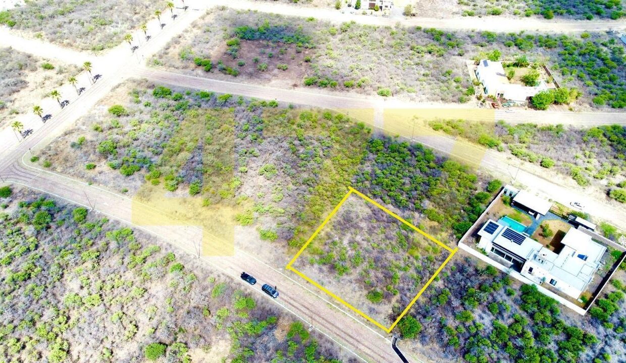 WhatsApp Image 2024-09-24 at 11.37.53 AM (2)