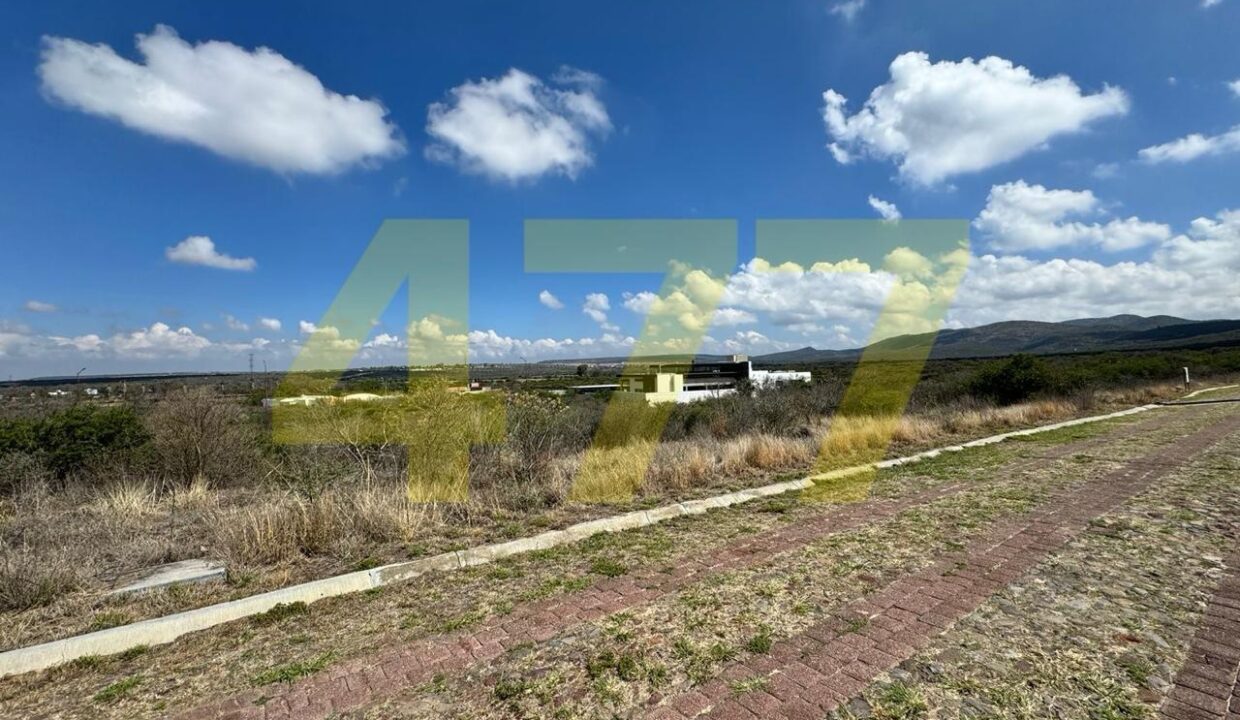 WhatsApp Image 2024-09-24 at 11.37.53 AM (3)