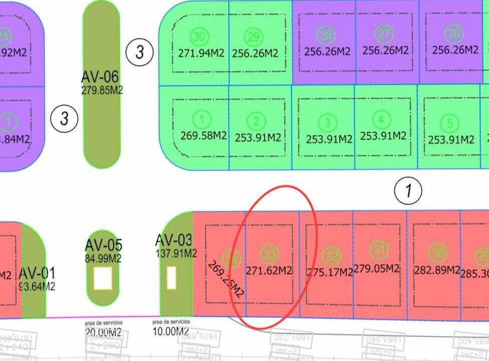 WhatsApp Image 2024-09-24 at 11.53.48 AM (3)