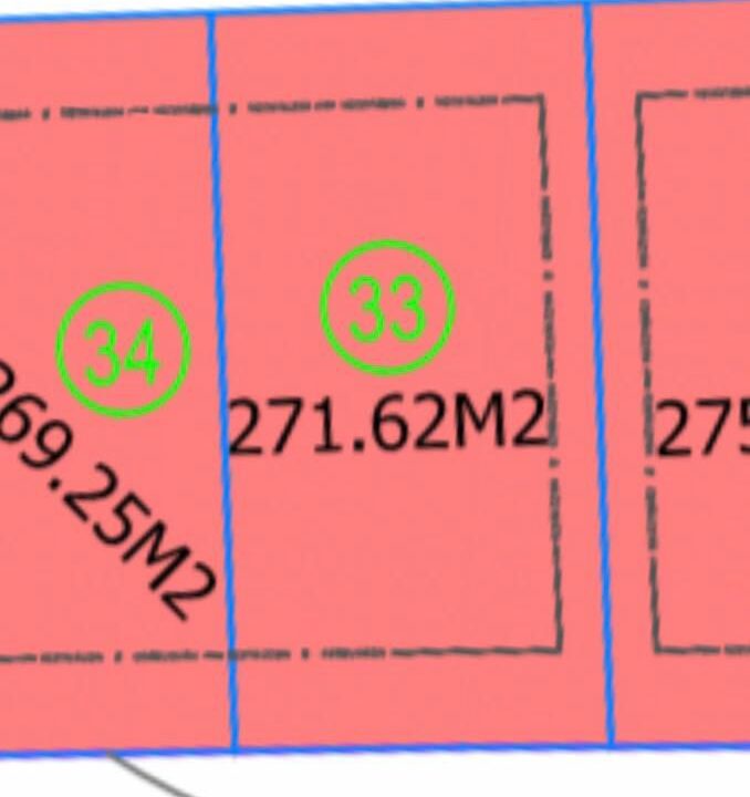 WhatsApp Image 2024-09-24 at 11.53.48 AM (4)