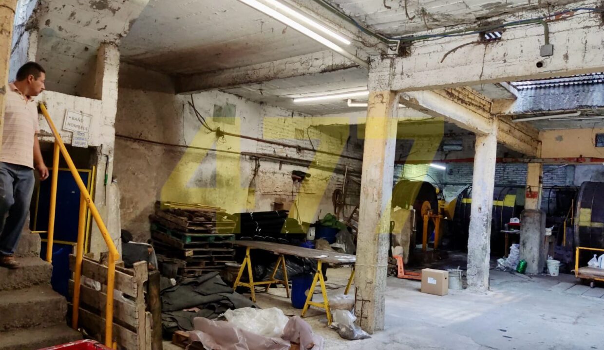 WhatsApp Image 2024-10-09 at 1.43.17 PM (1)