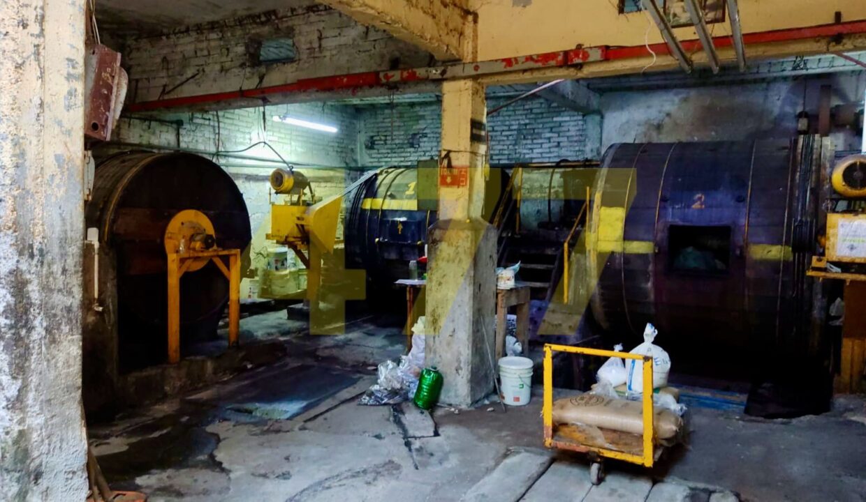 WhatsApp Image 2024-10-09 at 1.43.17 PM