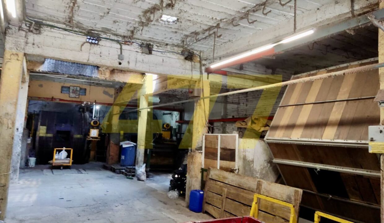 WhatsApp Image 2024-10-09 at 1.43.17 PM (2)