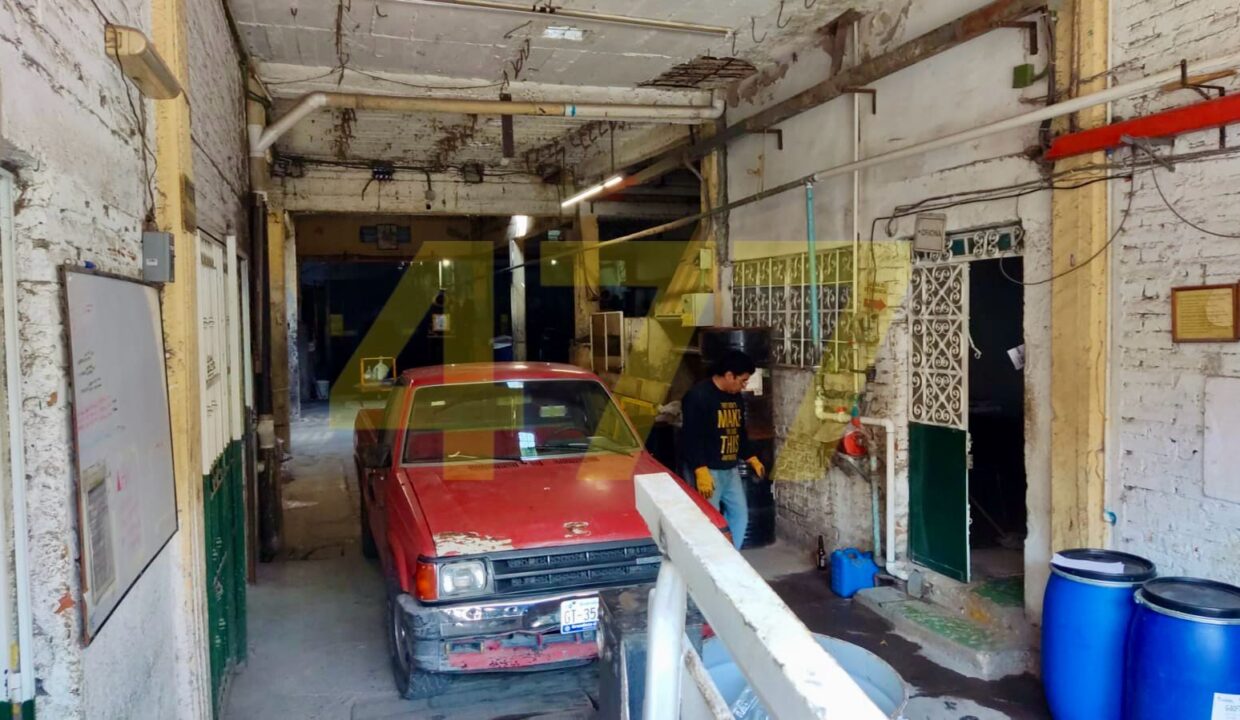 WhatsApp Image 2024-10-09 at 1.43.17 PM (3)