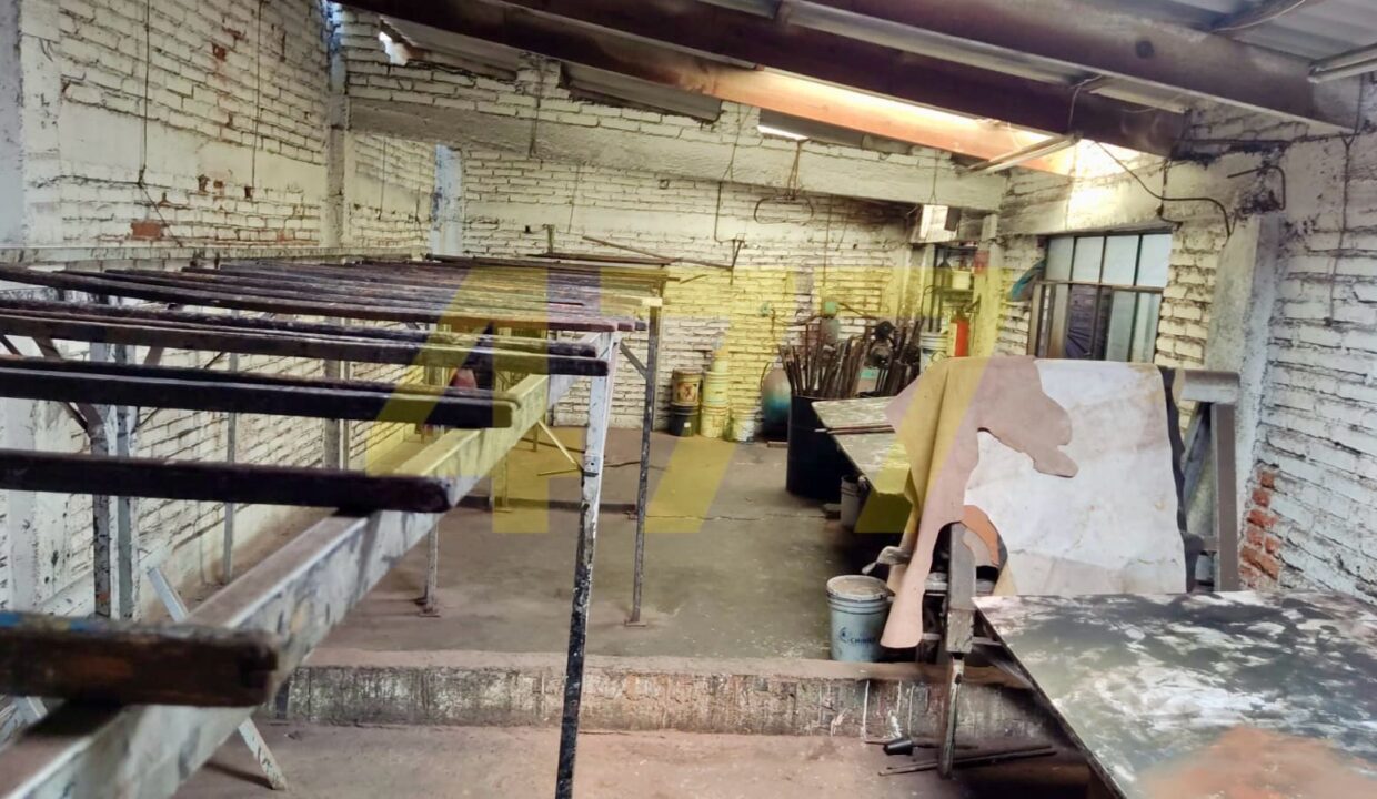 WhatsApp Image 2024-10-09 at 1.43.18 PM