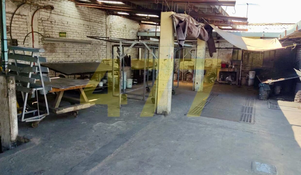 WhatsApp Image 2024-10-09 at 1.43.18 PM (2)