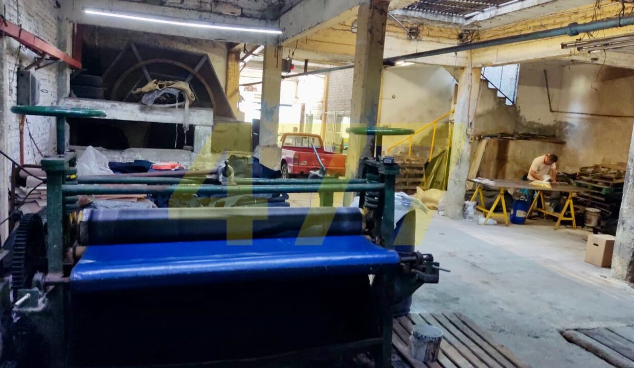 WhatsApp Image 2024-10-09 at 1.43.18 PM (3)