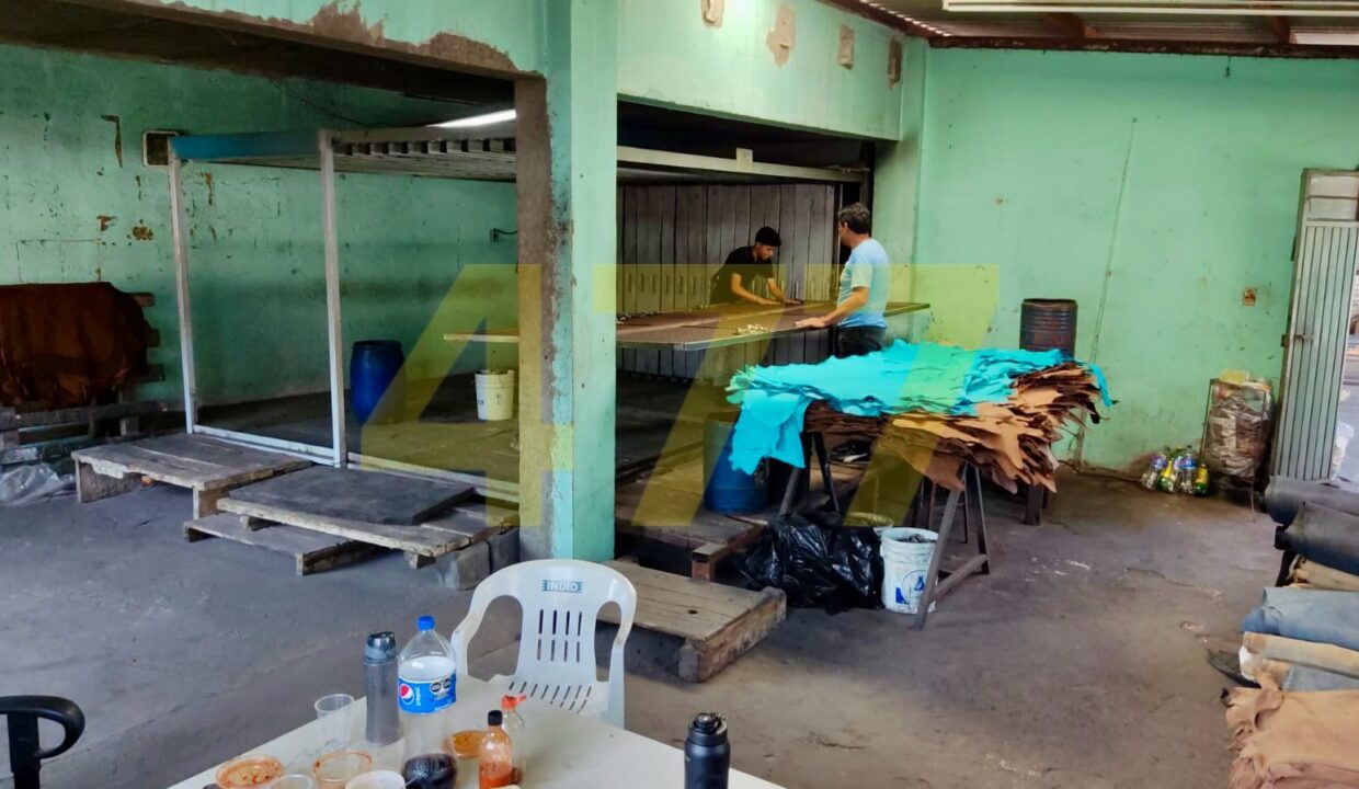 WhatsApp Image 2024-10-09 at 1.43.19 PM (1)