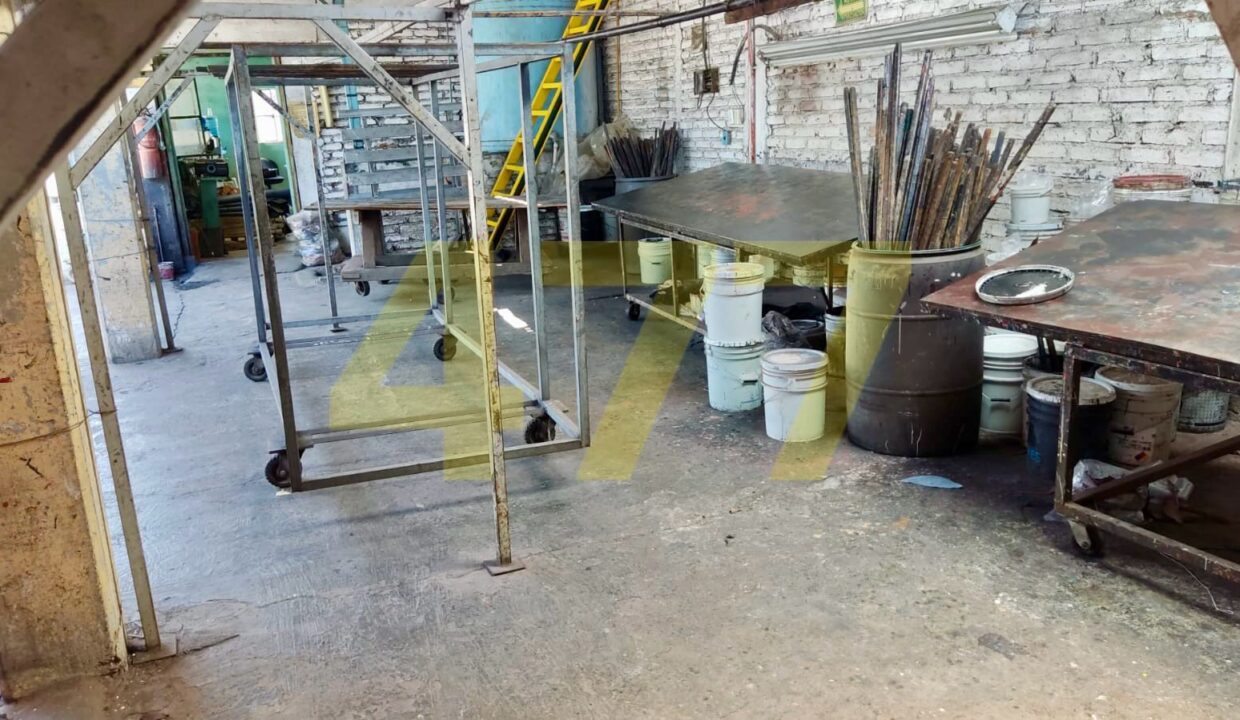 WhatsApp Image 2024-10-09 at 1.43.19 PM