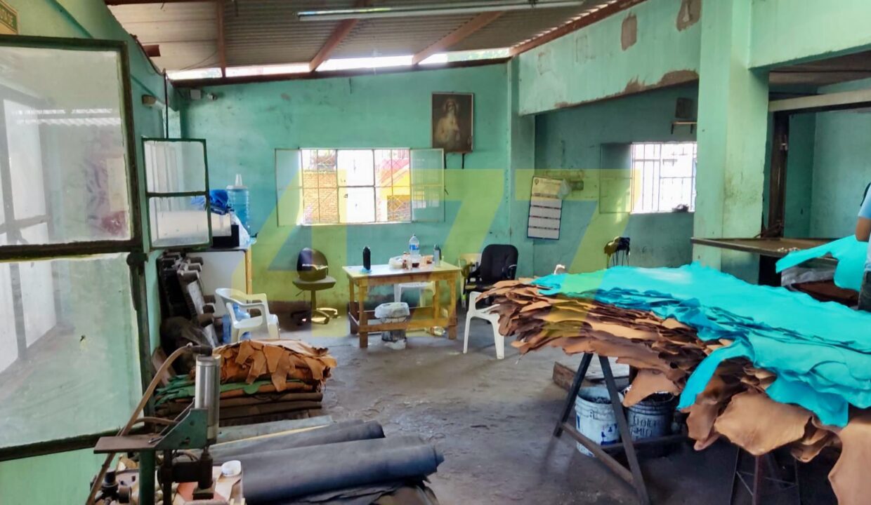 WhatsApp Image 2024-10-09 at 1.43.19 PM (2)