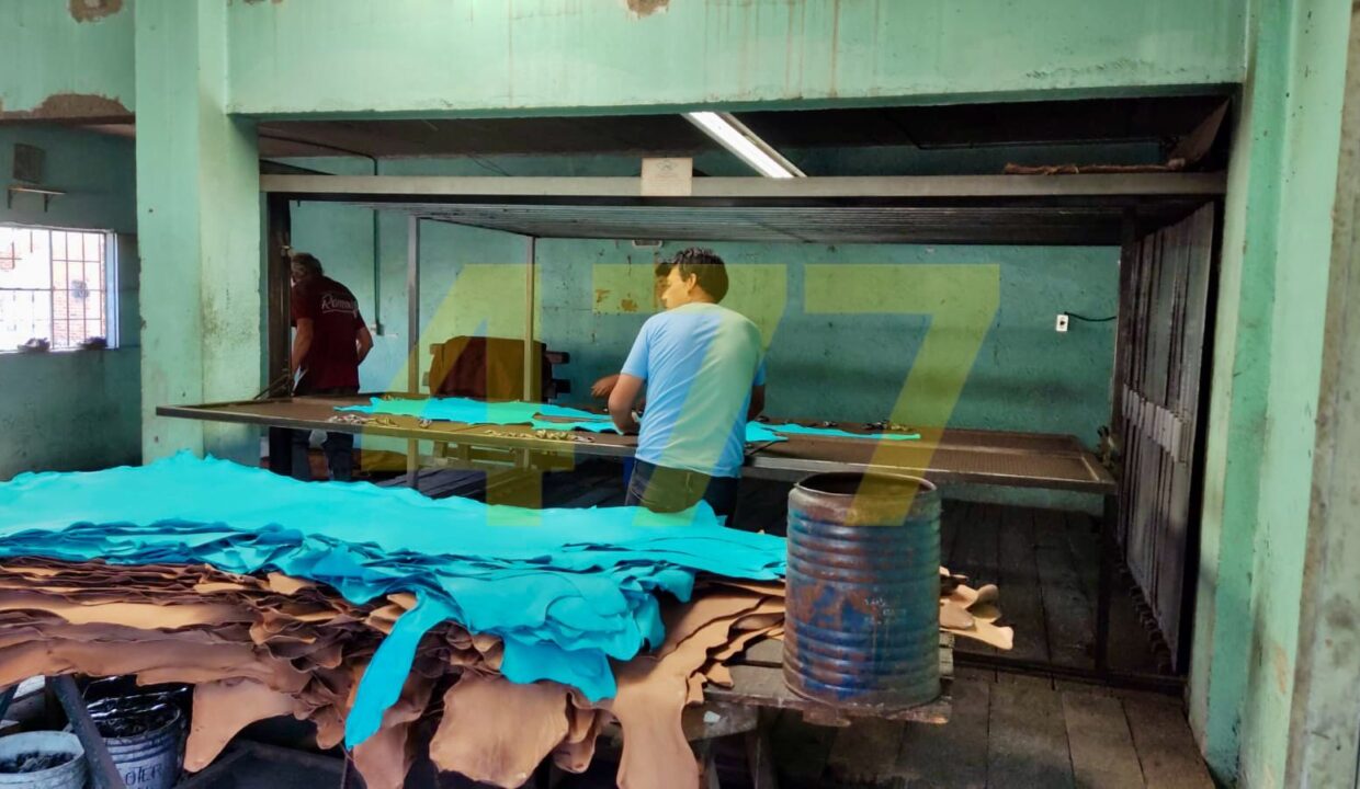 WhatsApp Image 2024-10-09 at 1.43.19 PM (3)