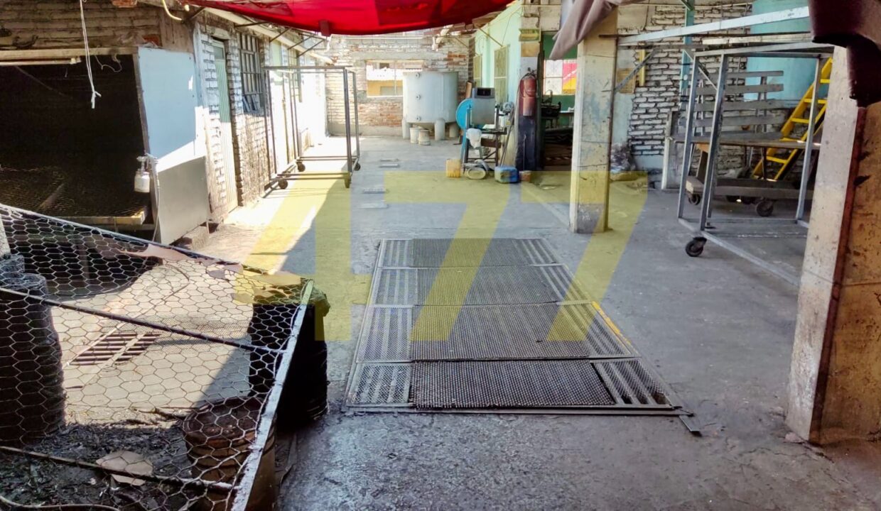 WhatsApp Image 2024-10-09 at 1.43.19 PM (5)