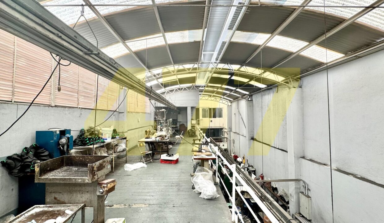 WhatsApp Image 2024-10-14 at 7.49.47 PM (2)