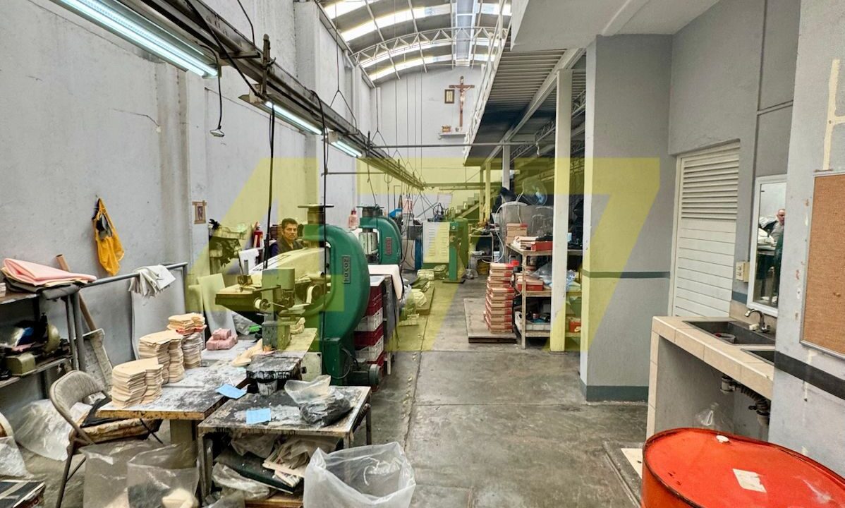 WhatsApp Image 2024-10-14 at 7.49.47 PM (4)