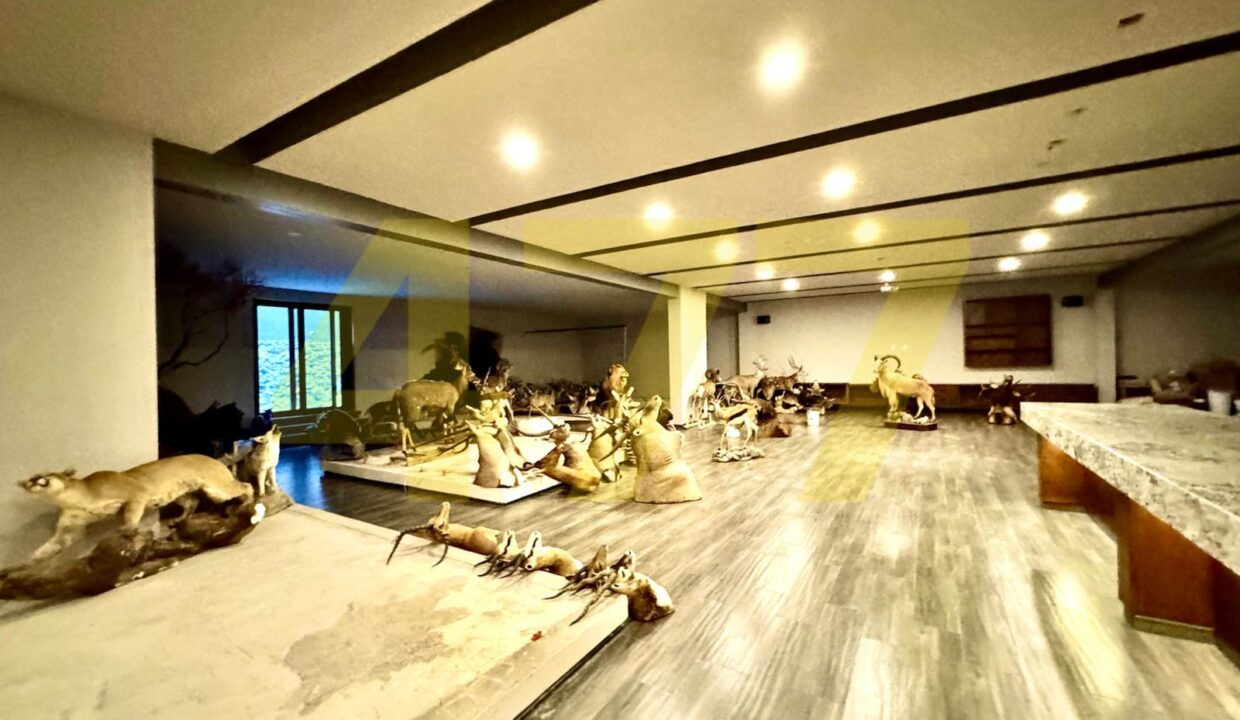 WhatsApp Image 2024-10-16 at 10.18.45 AM (2)