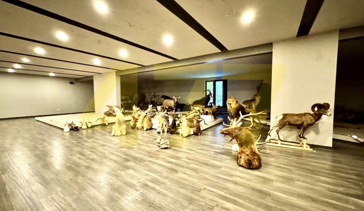 WhatsApp Image 2024-10-16 at 10.18.45 AM (5)