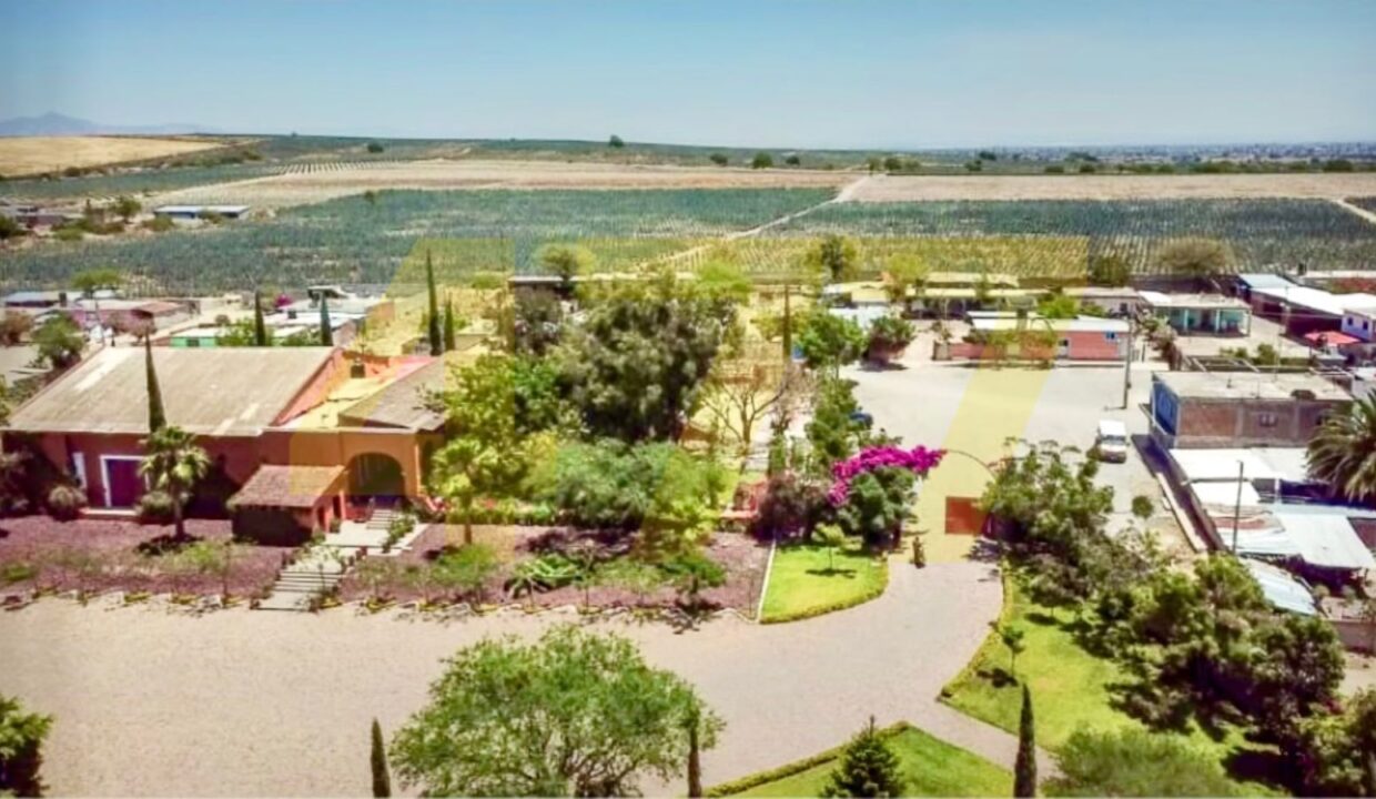 WhatsApp Image 2024-10-24 at 11.20.54 AM (1)