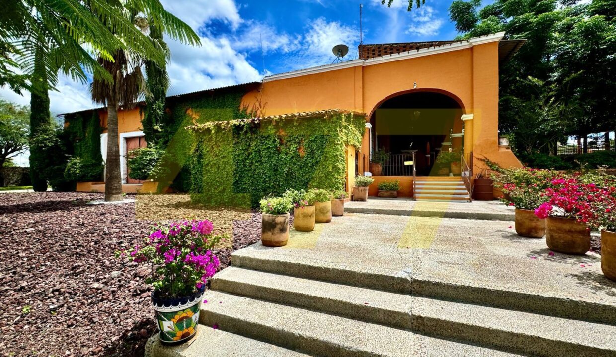 WhatsApp Image 2024-10-24 at 11.20.54 AM