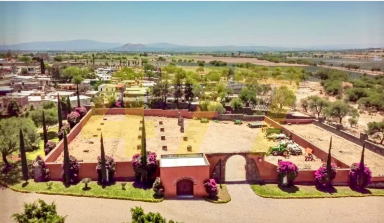 WhatsApp Image 2024-10-24 at 11.20.54 AM (2)