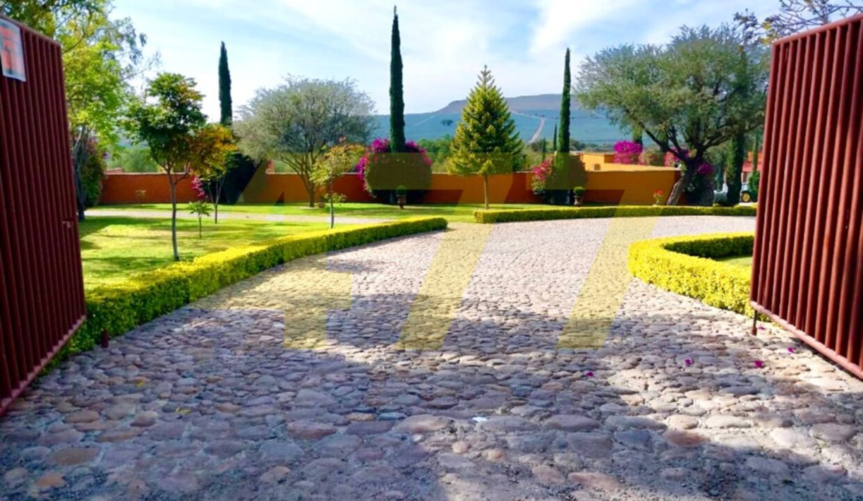 WhatsApp Image 2024-10-24 at 11.20.54 AM (3)