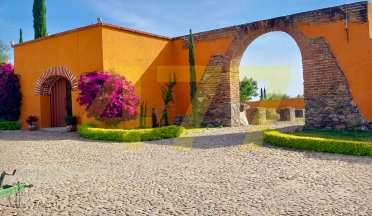 WhatsApp Image 2024-10-24 at 11.20.54 AM (4)