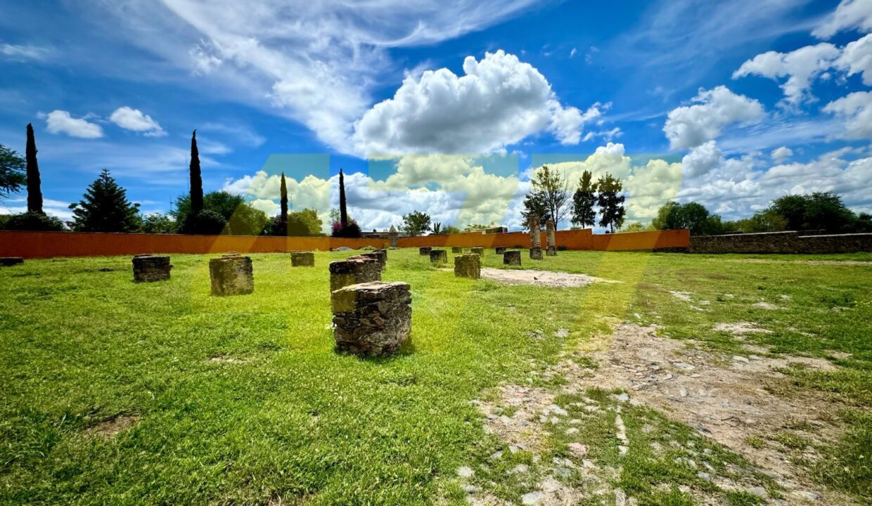 WhatsApp Image 2024-10-24 at 11.20.55 AM (1)