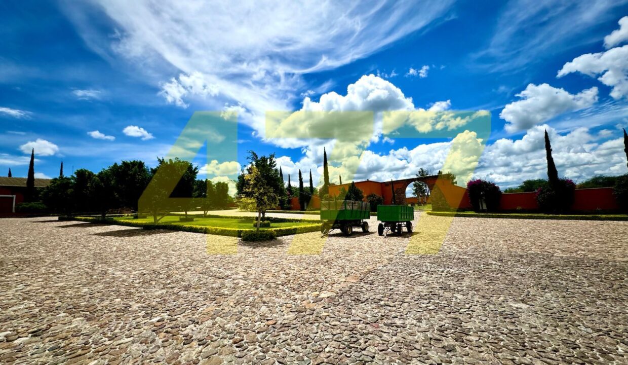 WhatsApp Image 2024-10-24 at 11.20.55 AM