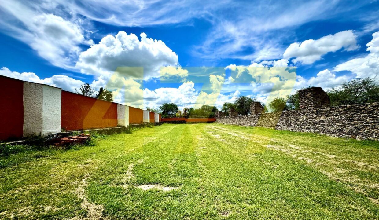 WhatsApp Image 2024-10-24 at 11.20.55 AM (2)