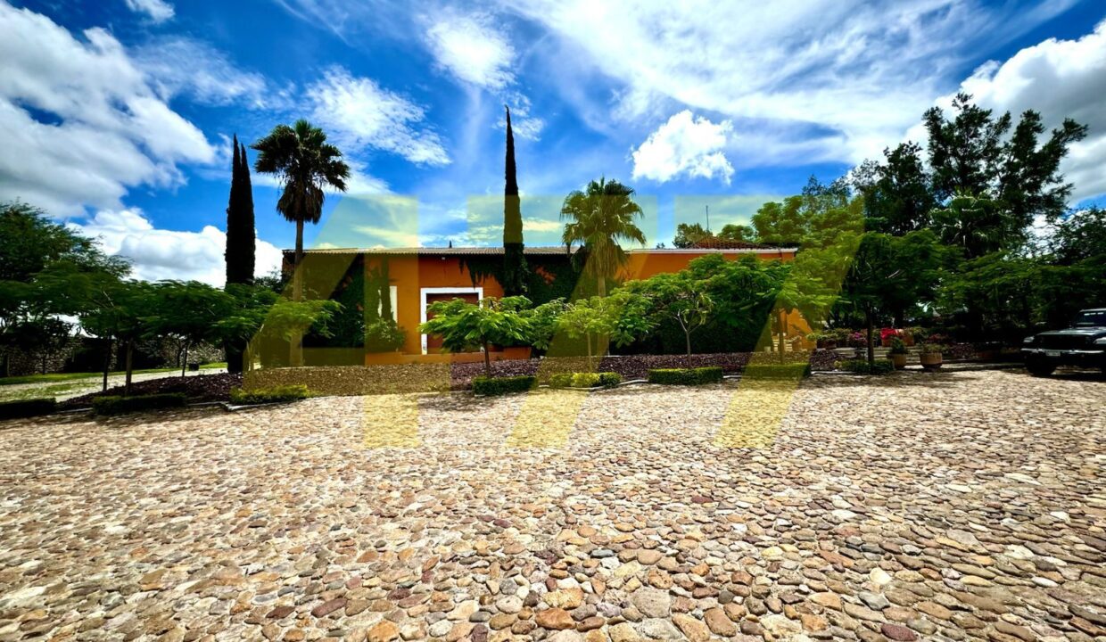 WhatsApp Image 2024-10-24 at 11.20.55 AM (3)