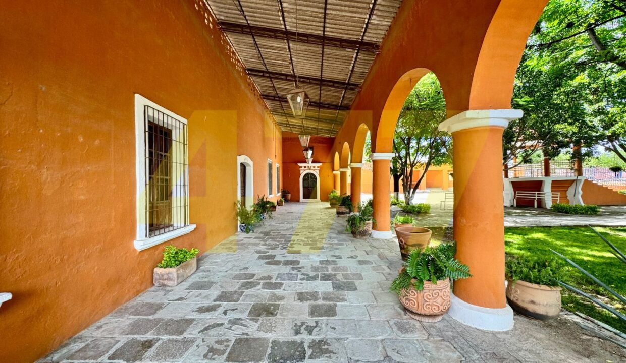 WhatsApp Image 2024-10-24 at 11.20.55 AM (5)