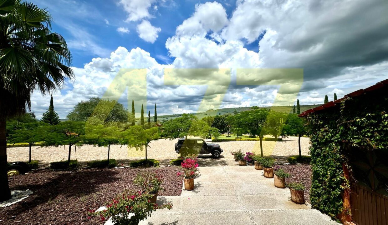 WhatsApp Image 2024-10-24 at 11.20.56 AM (1)