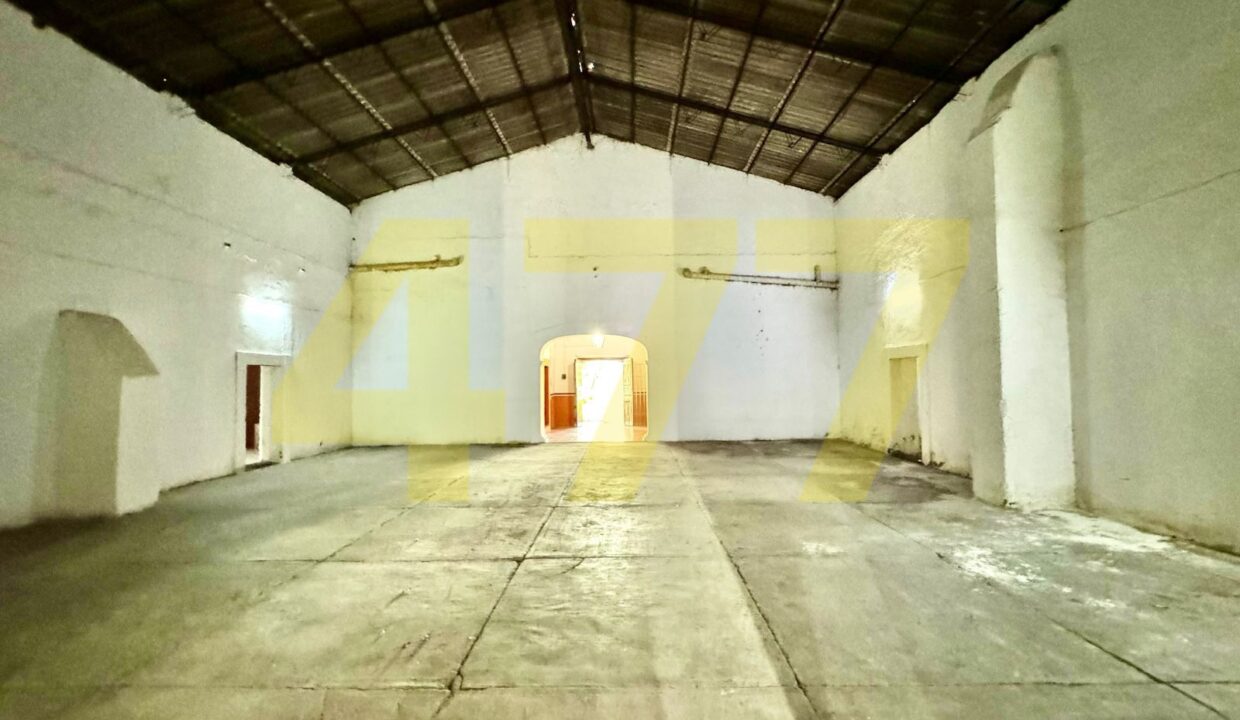 WhatsApp Image 2024-10-24 at 11.20.56 AM