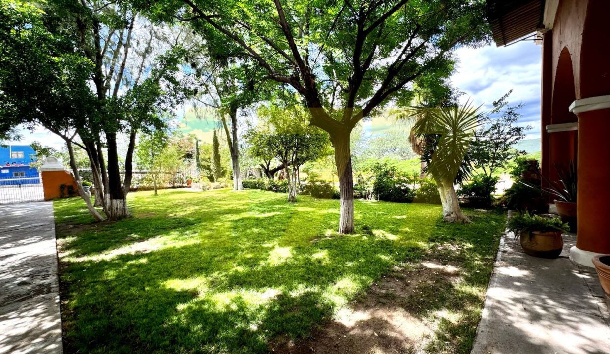 WhatsApp Image 2024-10-24 at 11.20.56 AM (2)