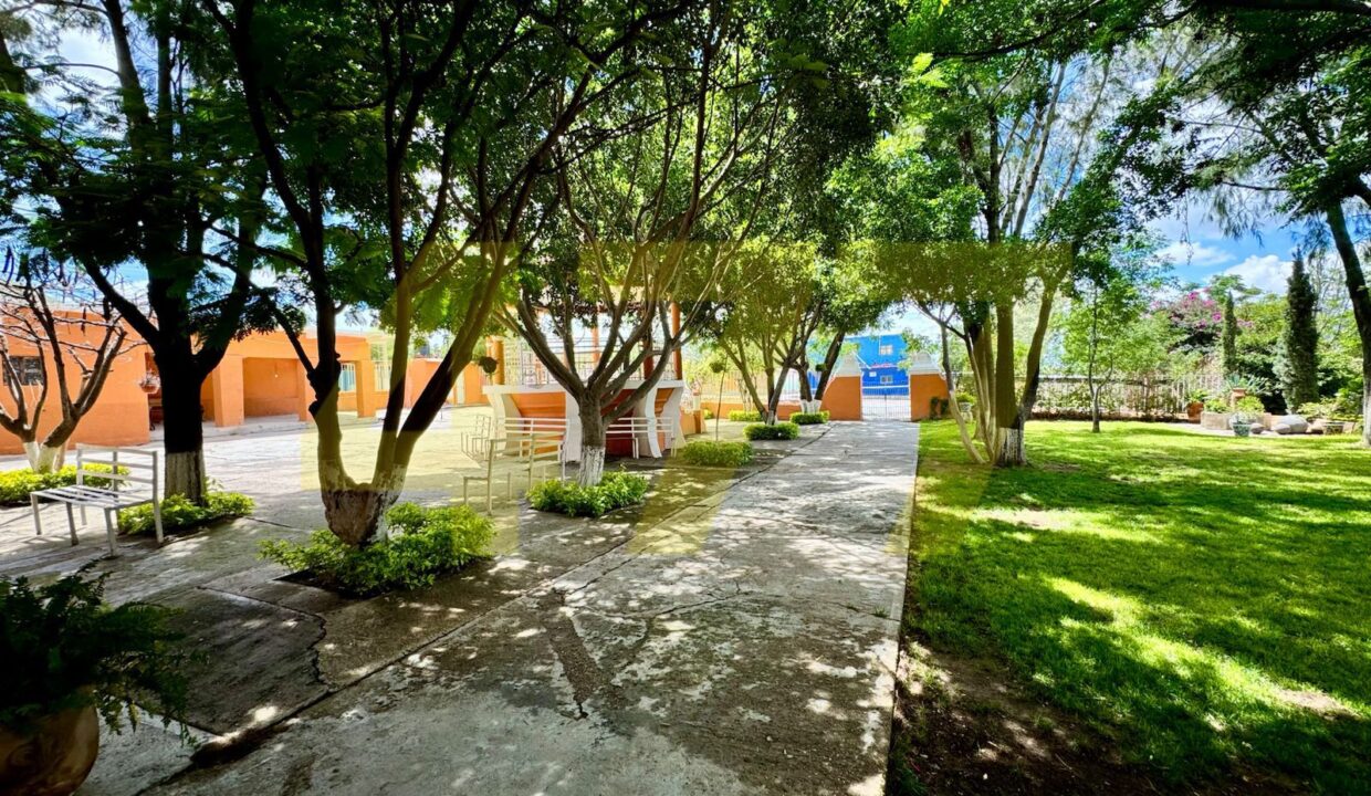 WhatsApp Image 2024-10-24 at 11.20.56 AM (3)