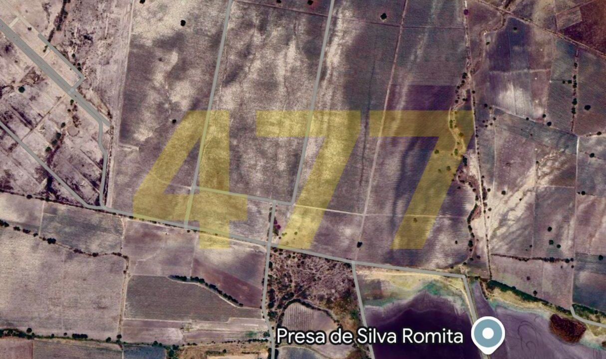 WhatsApp Image 2024-10-24 at 11.20.57 AM (1)