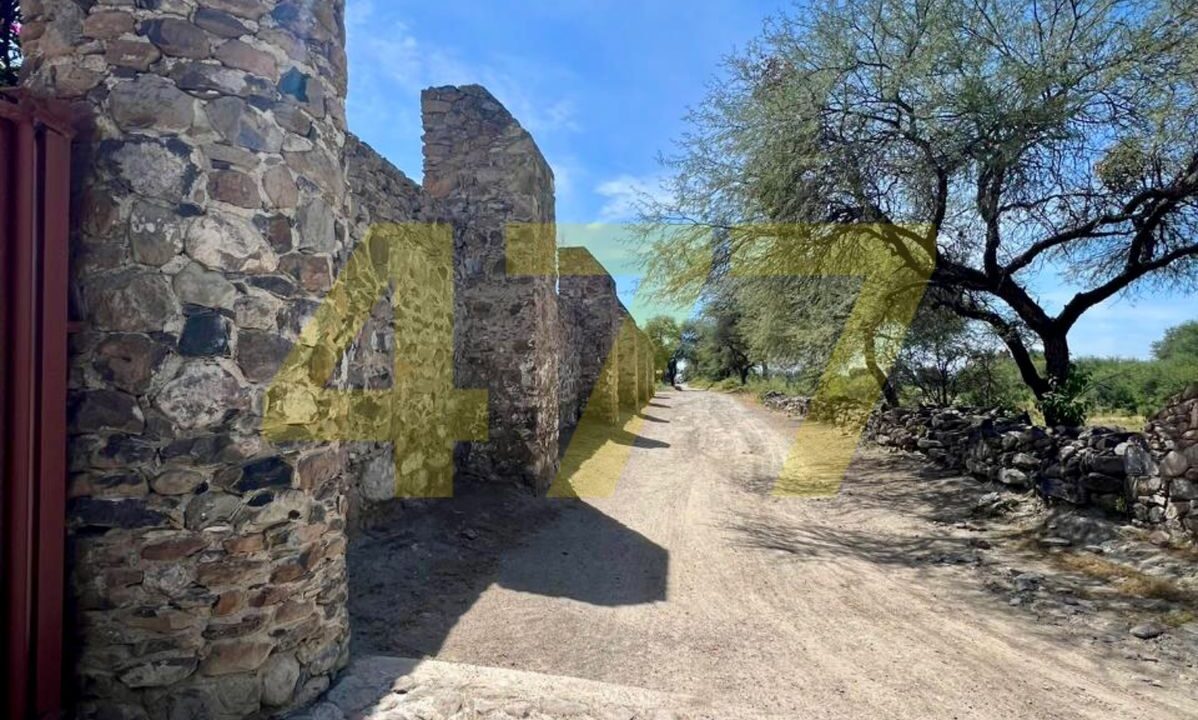 WhatsApp Image 2024-10-24 at 11.20.57 AM (3)