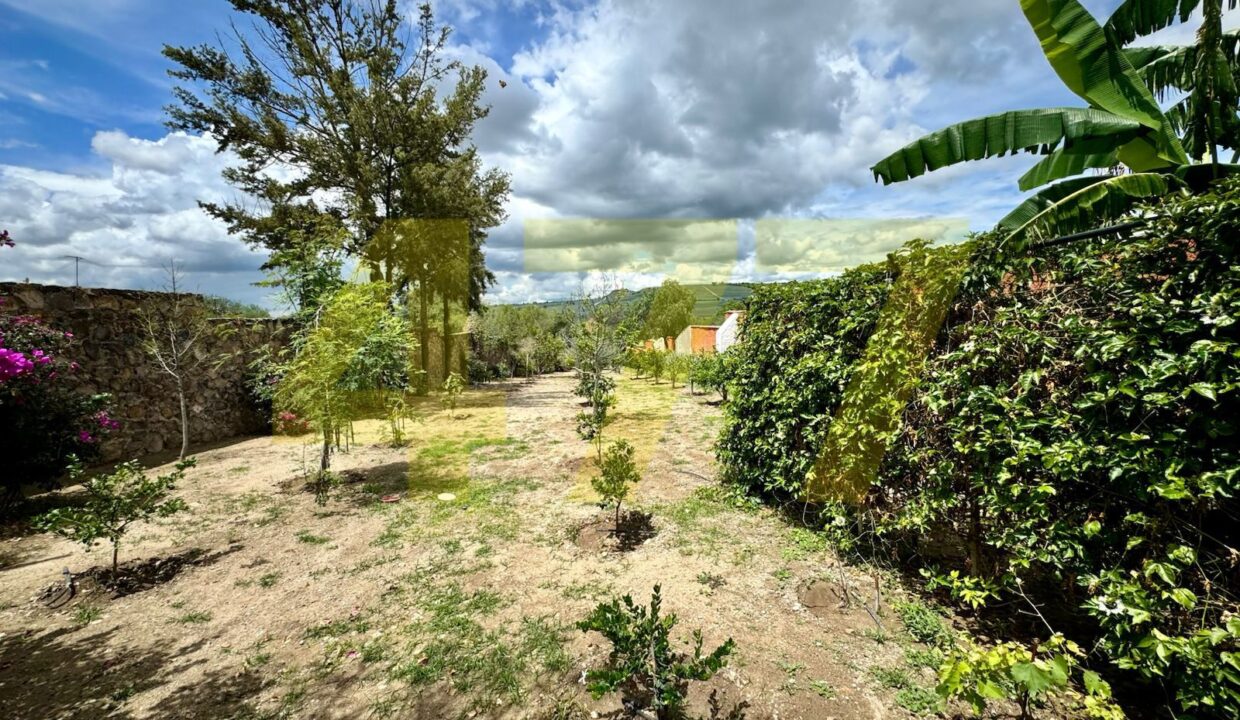 WhatsApp Image 2024-10-24 at 11.20.57 AM (4)