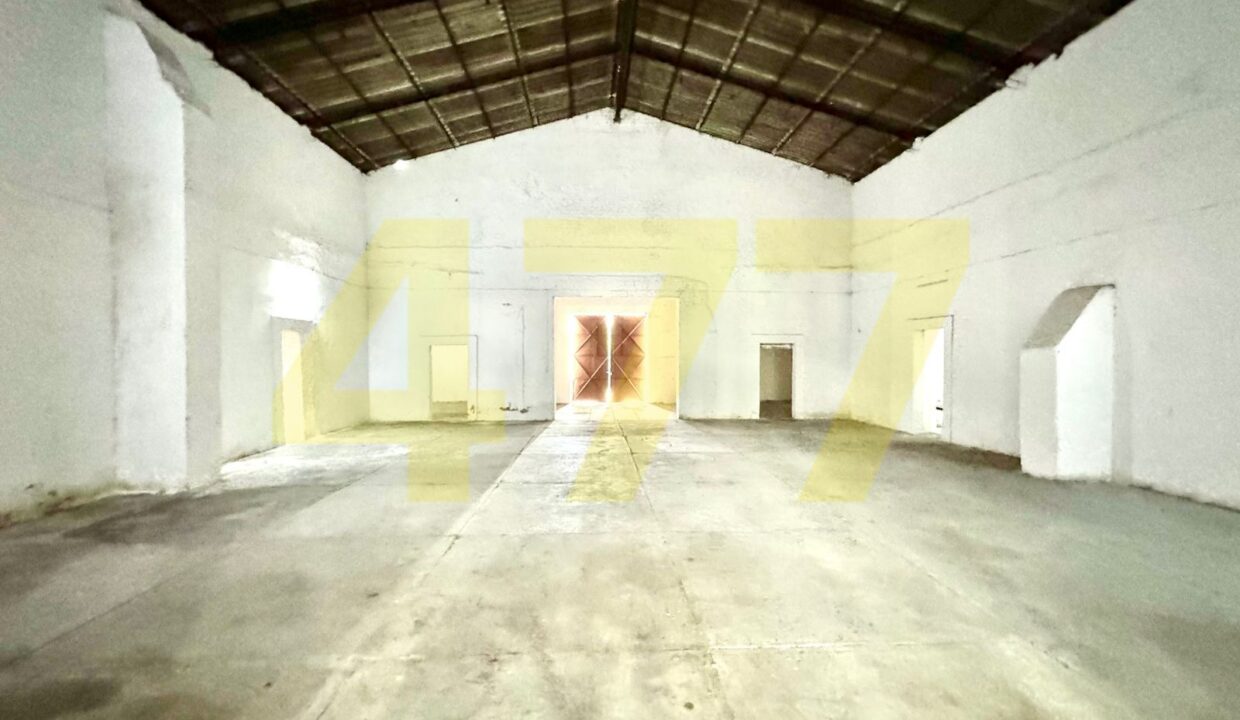 WhatsApp Image 2024-10-24 at 11.20.57 AM (5)