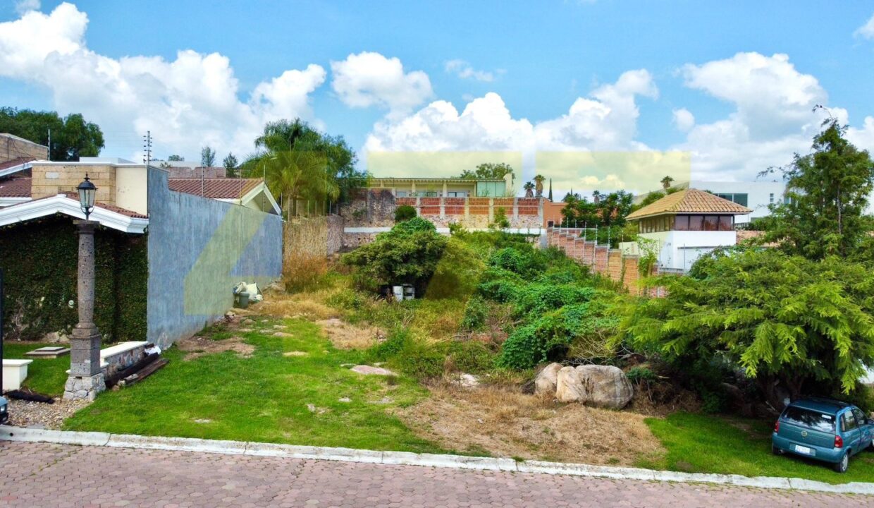 WhatsApp Image 2024-10-28 at 10.08.31 AM (1)