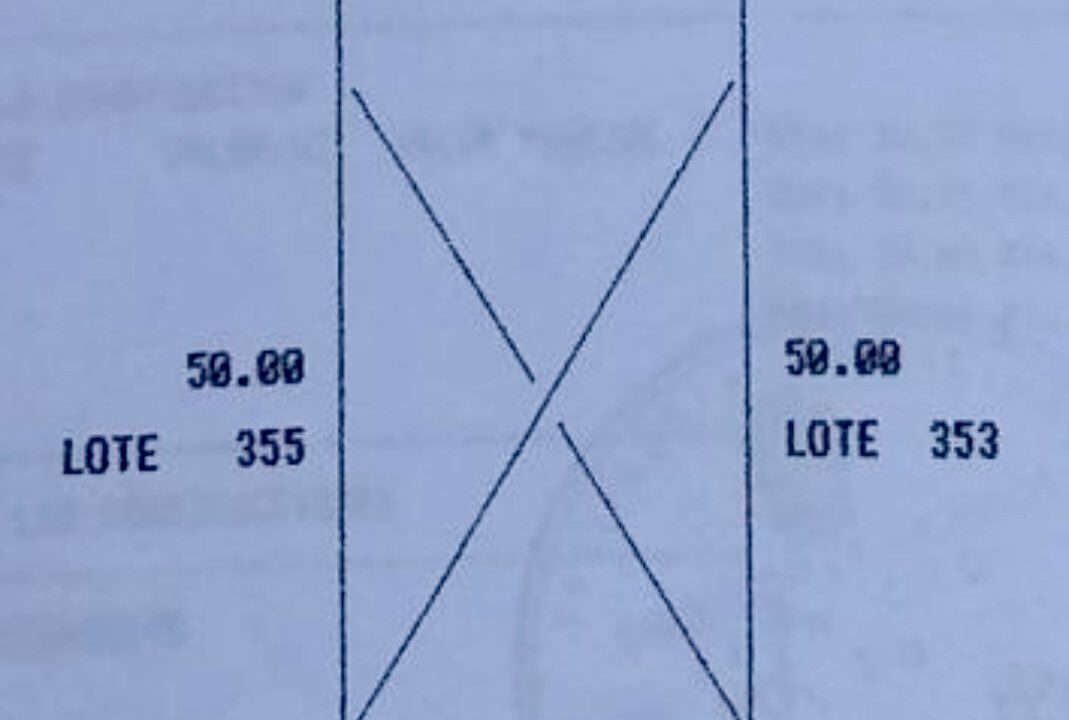 WhatsApp Image 2024-10-28 at 10.08.31 AM