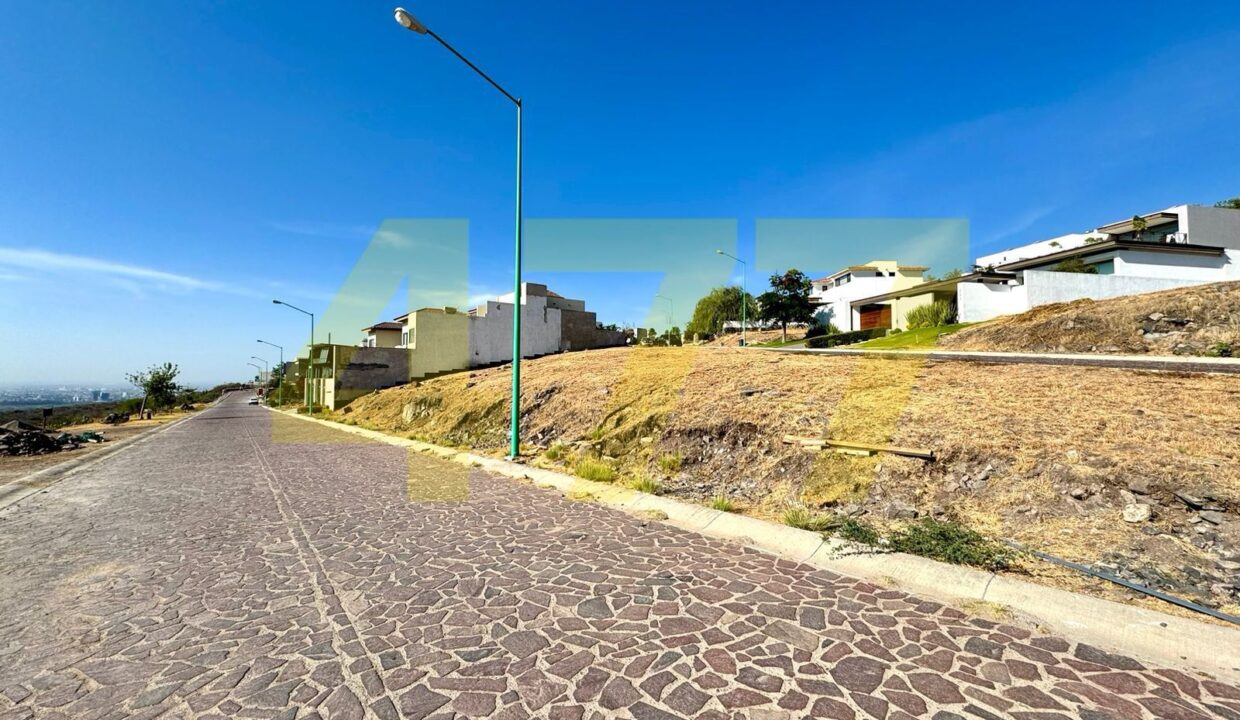 WhatsApp Image 2024-10-31 at 8.04.27 PM (1)