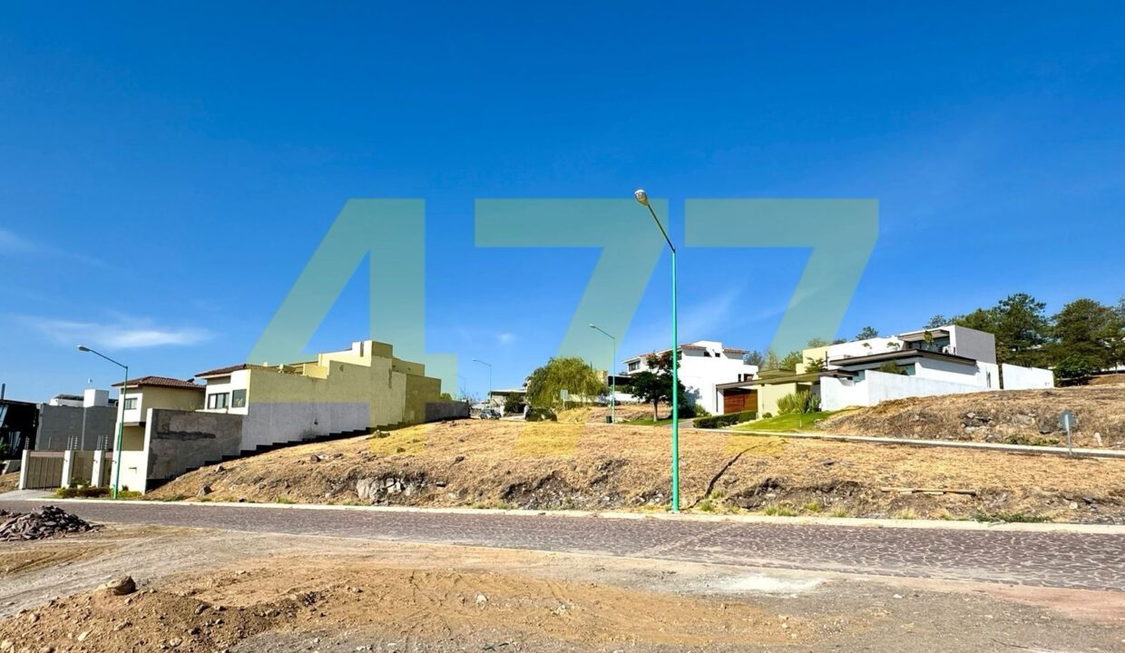 WhatsApp Image 2024-10-31 at 8.04.27 PM (2)