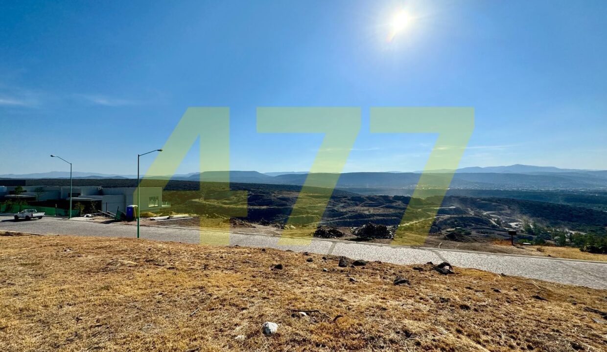 WhatsApp Image 2024-10-31 at 8.04.27 PM (3)