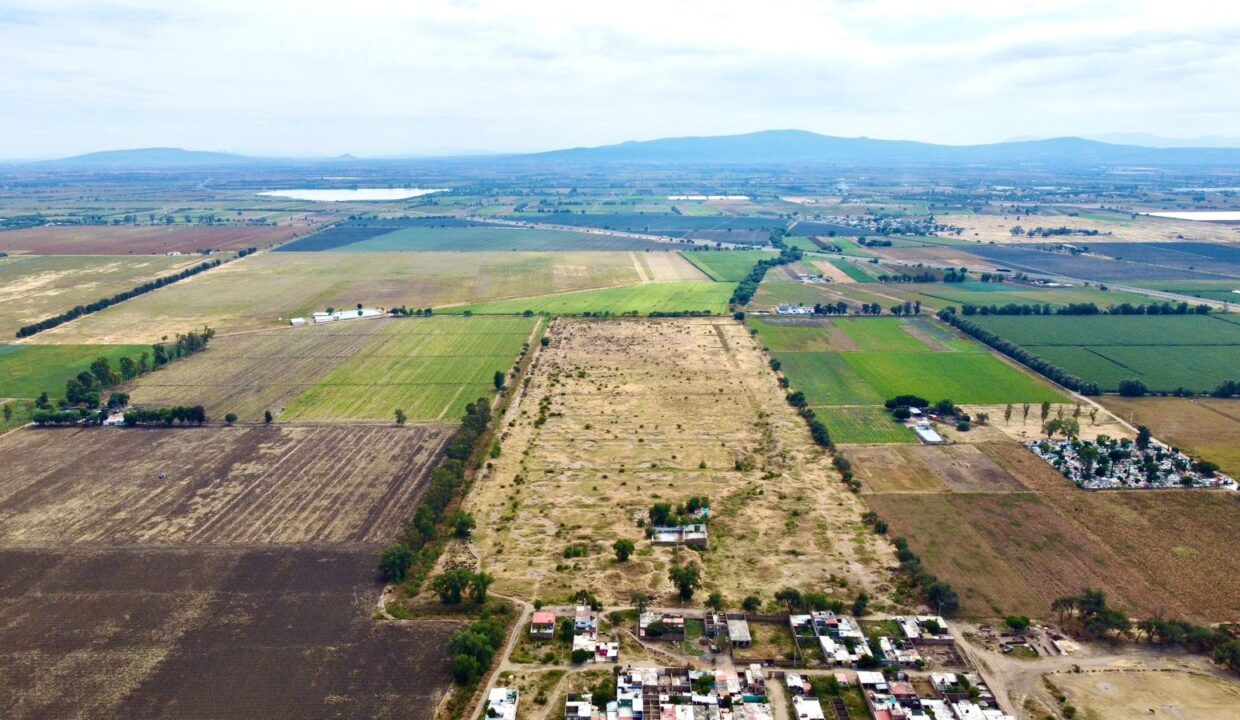 WhatsApp Image 2024-11-08 at 12.47.58 PM (2)