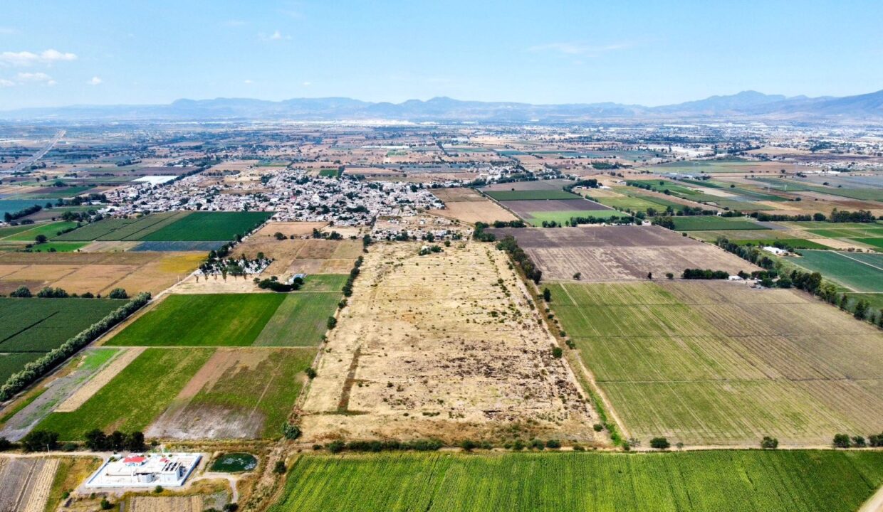 WhatsApp Image 2024-11-08 at 12.47.59 PM (5)